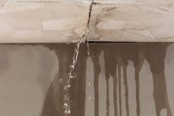 Professional Structural Drying technician working in Montague, MI